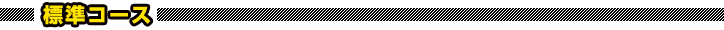標準コース 標準コース