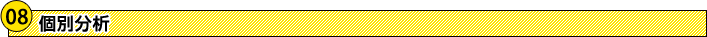 個別分析 個別分析